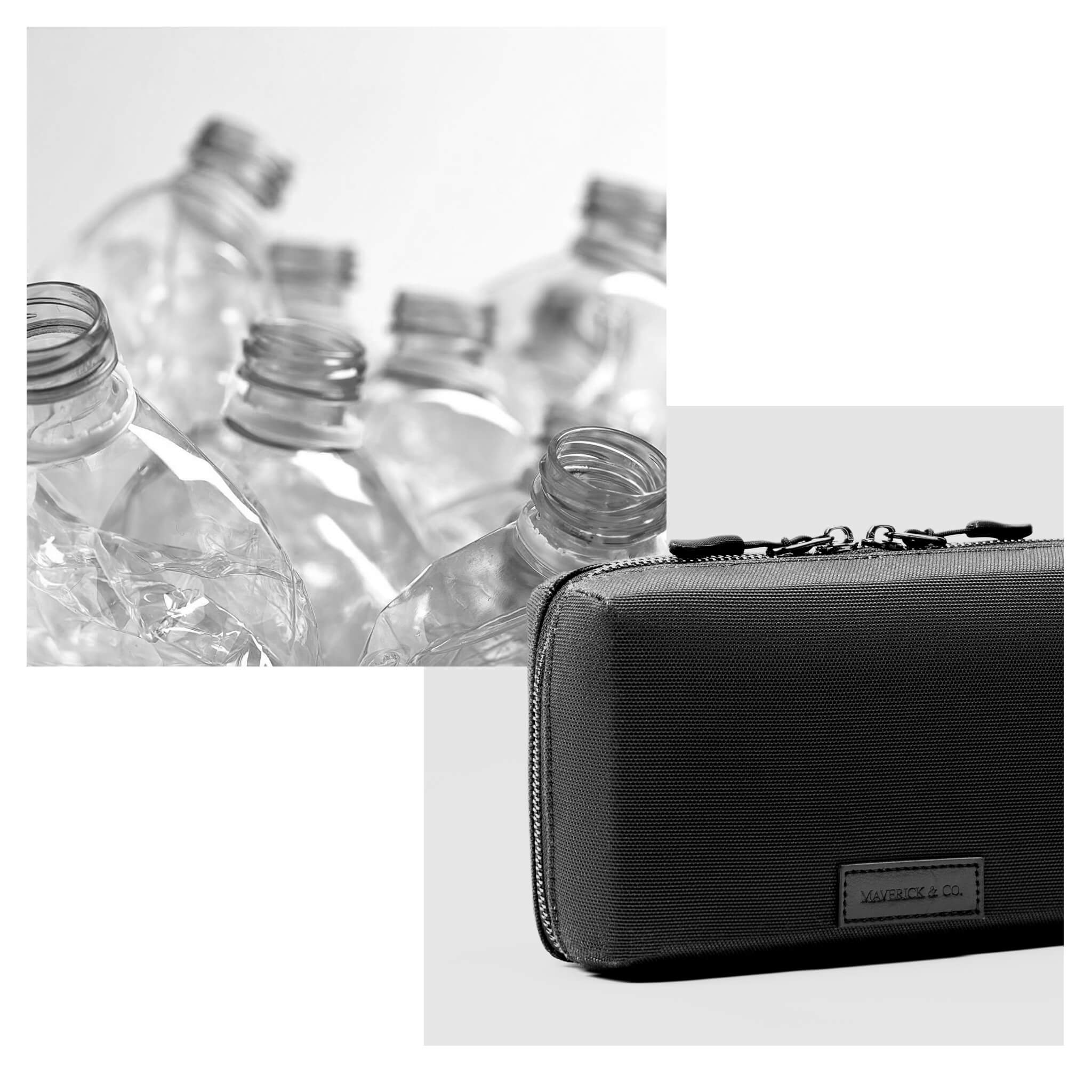 Regent Travel Organizer